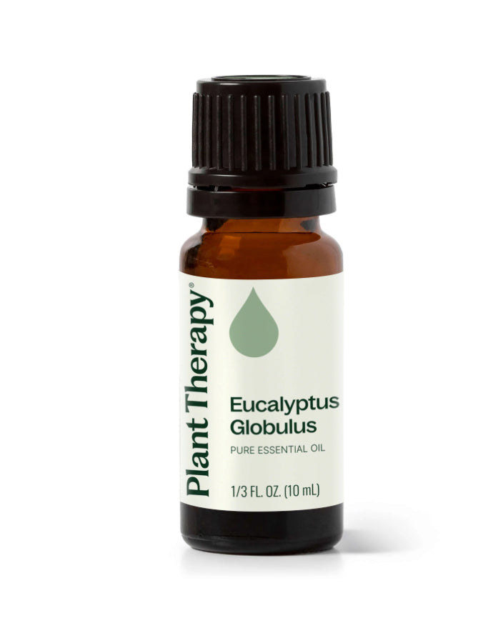 Eucalyptus Globulus Essential Oil