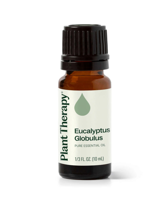 Eucalyptus Globulus Essential Oil